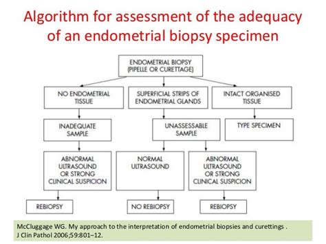 endometrial biopsy results interpretation|My approach to the interpretation of endometrial biopsies and.
